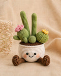 Jelly Cactus Pot Crochet Pattern – Amigurumi Succulent Plant with Smiling Pot & Legs, PDF