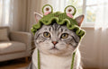 Cat wearing a green crochet frog hat with ruffled brim – Little Frog Cat Hat pattern