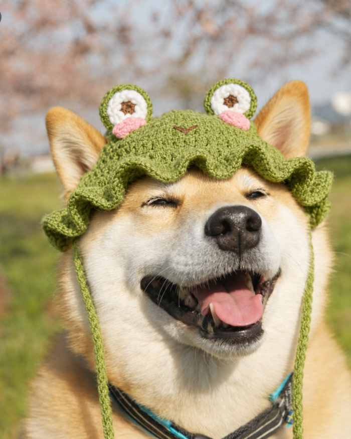 Crochet Pet Patterns